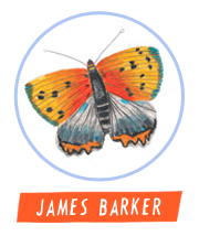 HiFest - James Barker