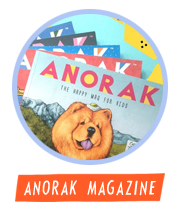 HiFest - Anorak Magazine