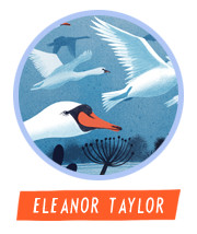 HiFest - Eleanor Taylor