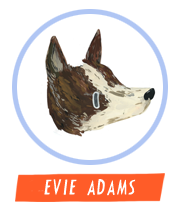 HiFest - Evie Adams