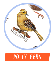 pollyfern_av