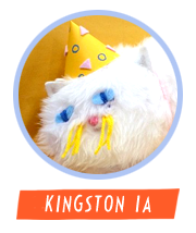 kingstonia_av